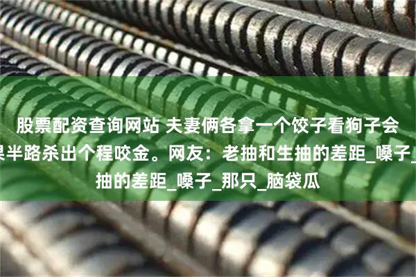 股票配资查询网站 夫妻俩各拿一个饺子看狗子会选谁的，结果半路杀出个程咬金。网友：老抽和生抽的差距_嗓子_那只_脑袋瓜
