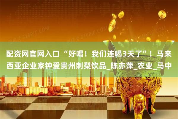 配资网官网入口 “好喝！我们连喝3天了”！马来西亚企业家钟爱贵州刺梨饮品_陈亦萍_农业_马中
